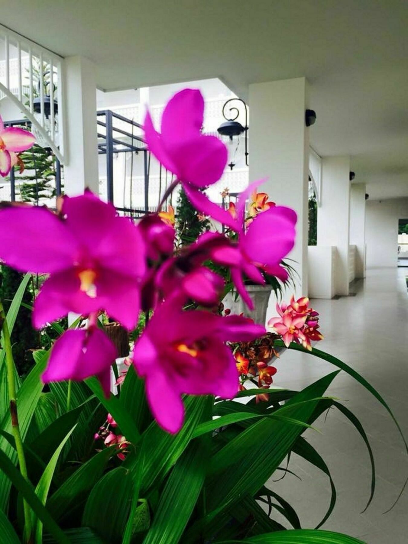 Koranaree Courtyard Boutique Hotel Nakhonratchasima Exterior foto
